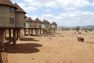 2 Days Saltlick Safari - Taita Hills Game Sanctuary