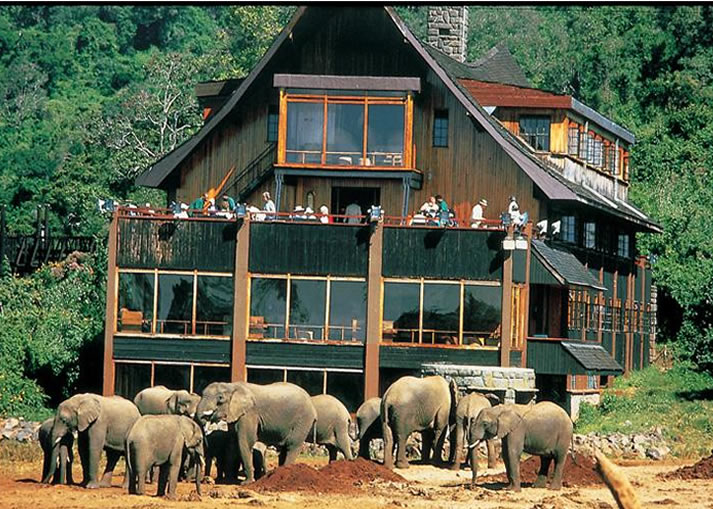 8 Days Nairobi Safari to Samburu, Aberdare, Lake Nakuru, Lake Naivasha and Masai Mara