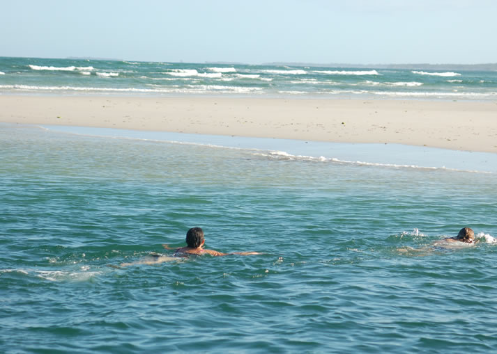 Wasini Island Tour - Dolphin Dhow - Day Tour1